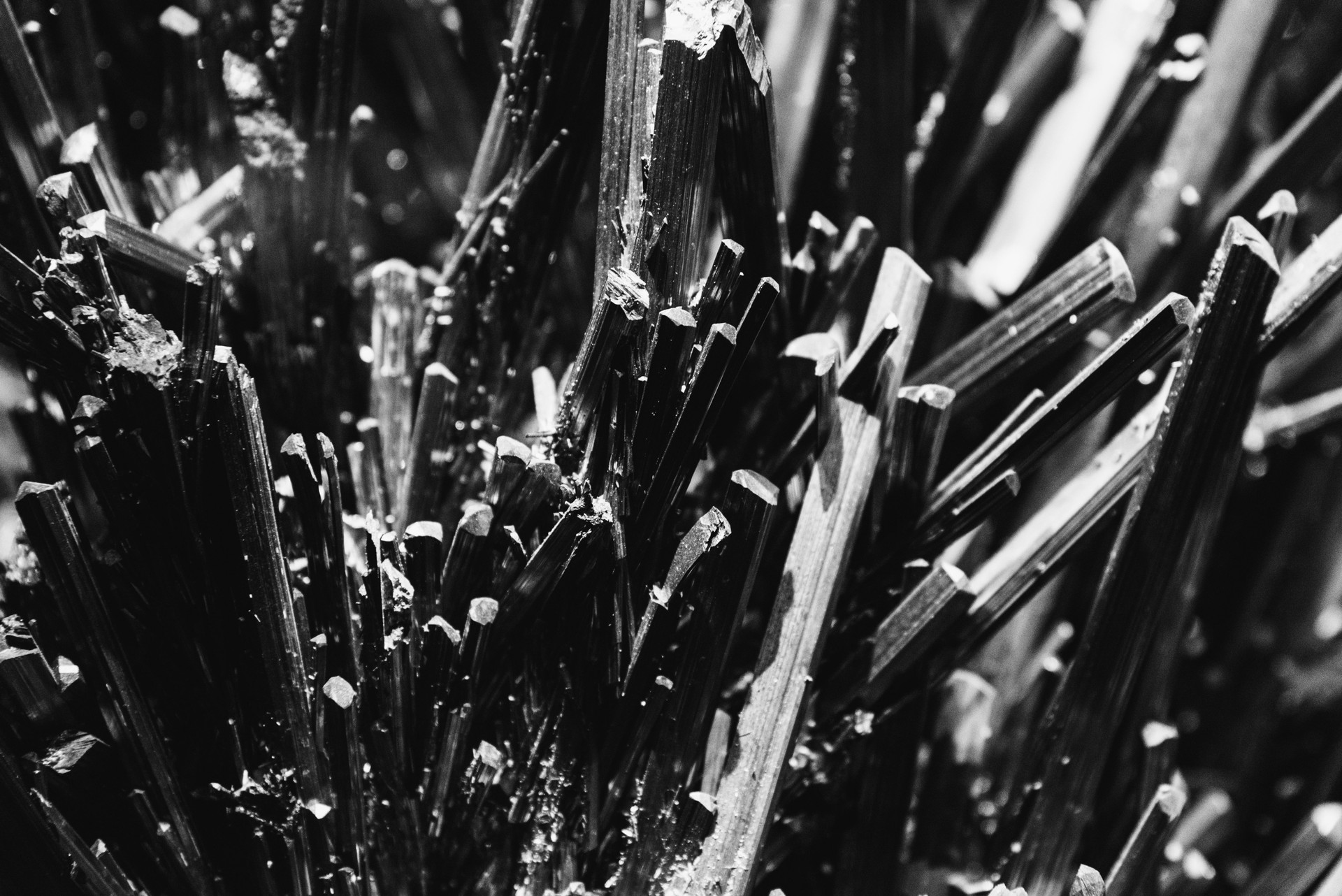 Macro shot of multiple graphite rods
